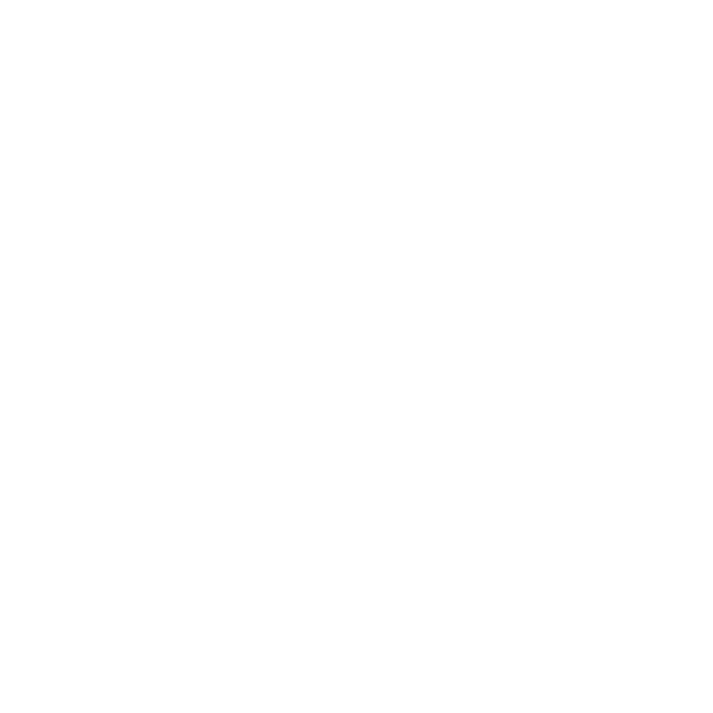 logo blanc the brew society